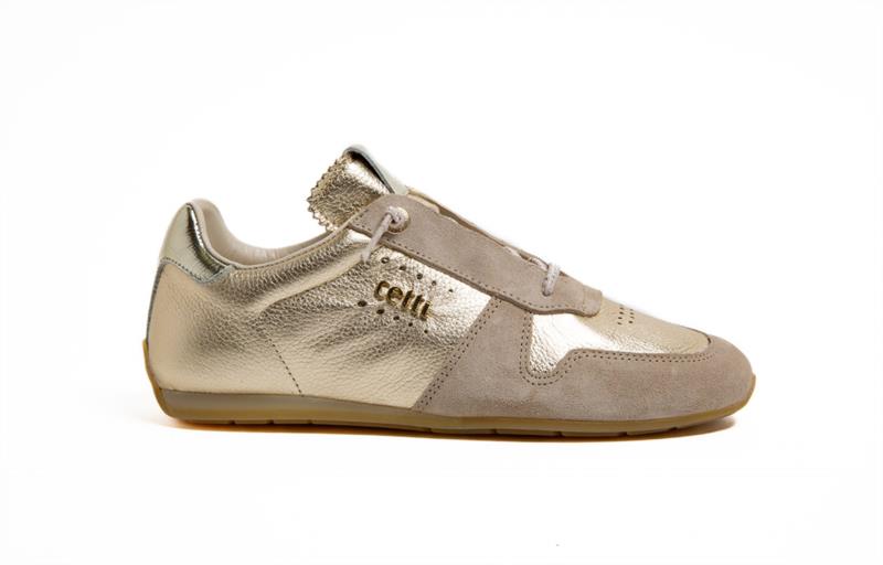 C-1379 SRA V26 ANTE-GORDON CHAMPAGNE